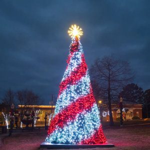 RGB Trees