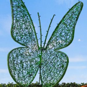 2D Butterfly