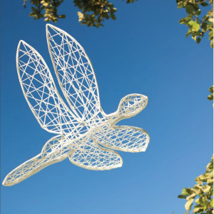 2D Dragonfly