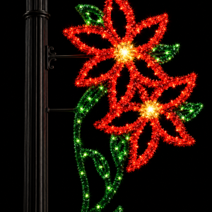 Double Poinsettia