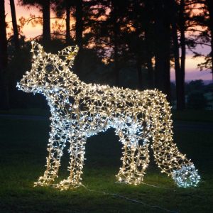 3D Fox