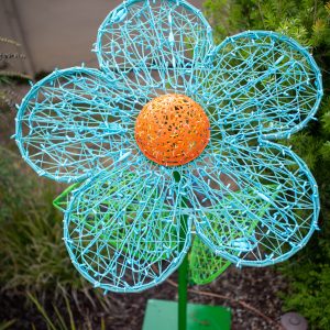 Masson Giant Flowers