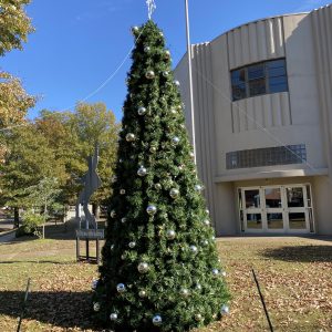 Pop-Up Trees