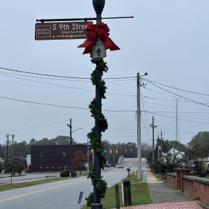 Pole Wrap