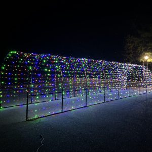 Light Tunnel