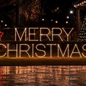 Merry Christmas with Poinsettia