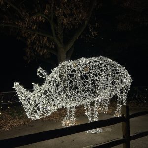 Rhino