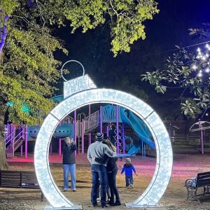 Shimmering Ornament Arch