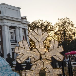 Shimmering Snowflakes