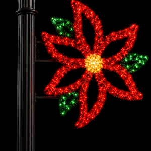 Single Poinsettia