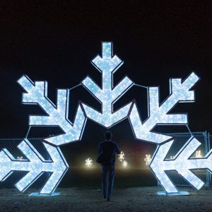 Snowflake Walkthrough