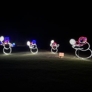 Snowmen Playing
