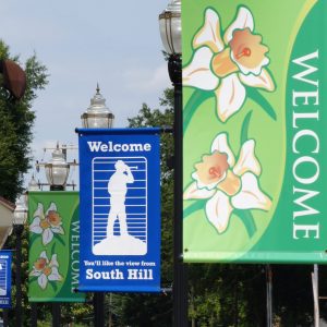 Pole Banners