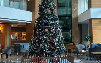 Sizing Trees for Hospital Entrances