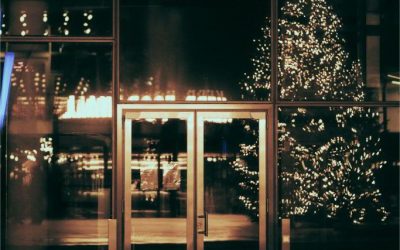 Solutions for Maintaining Commercial Trees in Public Spaces
