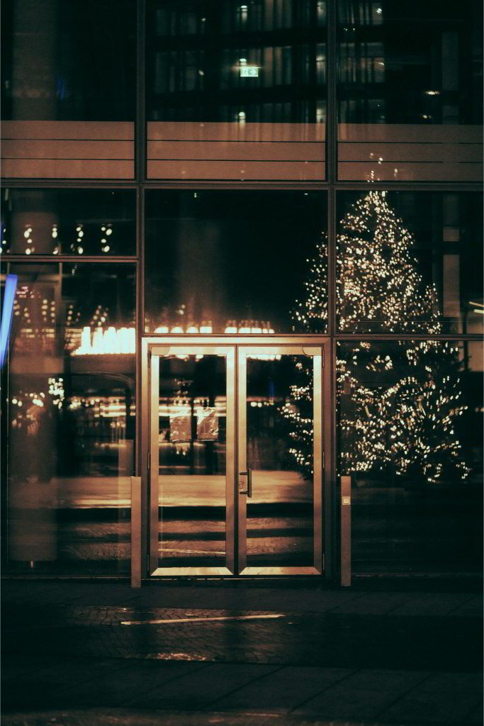 Solutions for Maintaining Commercial Trees in Public Spaces